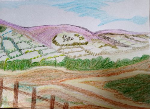 Christine P, Edale, purple heather, coloured pencils.
